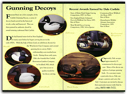 Decoys brochure