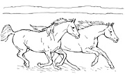 coloring book sketch