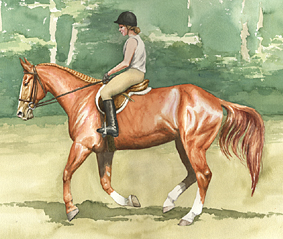 Watercolor Horse Portrait