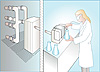 Promotional: Adobe Illustrator