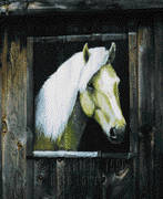 Meet Nugget, our "cheap" horse. Painted on our old barn with acryllic and acryllic varnish, he