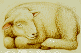 Sleeping sheep: gouache & color pencil