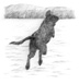 jumping