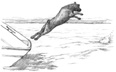 jump