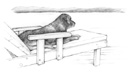 lounger