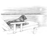 lounger2