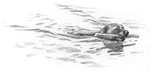 makewake