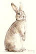 My first bunny - color pencil